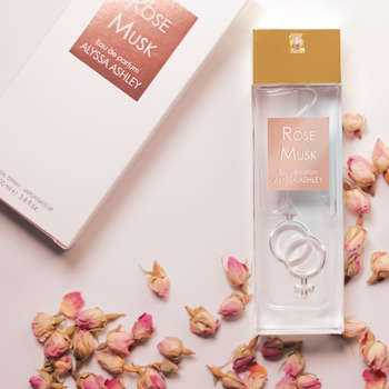 Rose Musk EDP